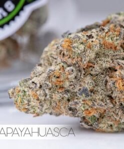 papayahuasca strain