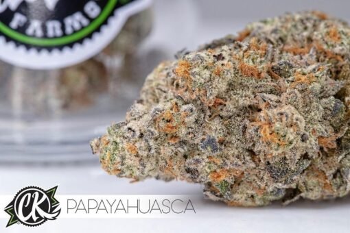 papayahuasca strain