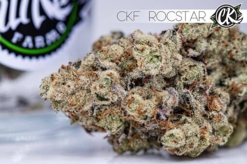 rockstar strain